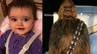 Baby Chewbacca Sounds And Noises