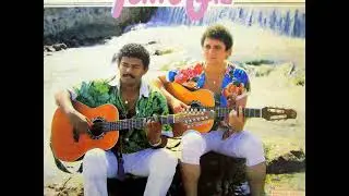 Tom & Gil - Voo Do Adeus