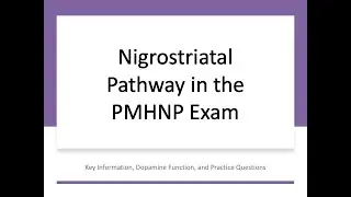 Nigrostriatal Pathway PMHNP Exam