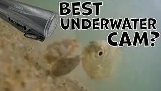 Подводные кадры рыбалки с берега [Обзор CanFish CamX]