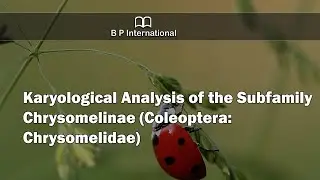 Karyological Analysis of the Subfamily Chrysomelinae (Coleoptera: Chrysomelidae)