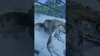 You can get in the Ship #frog #beastsofbermuda  #gaming #frogexercise