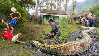 Clean up an abandoned house | Two kids with IQ 180 lead hunters to the lair of a giant mutant python