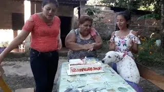 Hora de partir el Pastel Feliz Cumpleaños Sonchi🍰🐶 El salvador 4x4