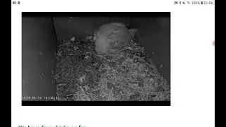 Len Pick Trust Bourne Barn Owls 18th May 2024