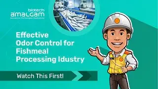 OdoServe: Effective Odor Control for Fishmeal Processing | Odour Neutralizer, by Amalgam Biotech