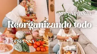 QUITANDO EL PINO✅NUEVA MONSTERA +DESPENSA PARA LA SEMANA