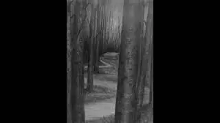 Lurking In Darkness