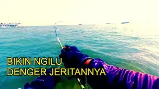 Cara Mancing Ikan Cendro/Jolong Jolong,Umpan Udang[ Spot Mancing Semarang ]
