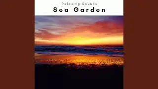 Soft Sea Music Garden for Instant Recharge