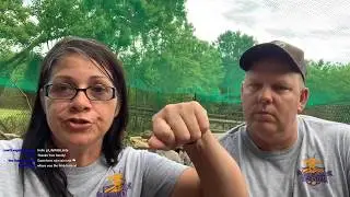 Reap What You Seaux LeJeune Live Stream