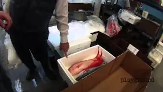 Игровая площадка DTSA &mdash; Международная морская продукция с Джейсоном Куинном