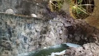 Ela amou // mãe saindo da rotina// colheita do maxixe e vendo as abóbora como estão 