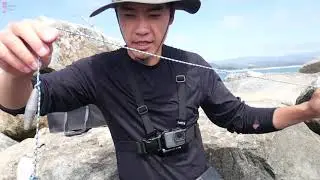 How to Catch Crab Using a Rope - One of Simplest Way to Catch Crab * Catch and Cook