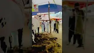 Mundri and Prince🤍 Biggest jori in Jaffar Mandi❤️