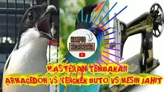 MASTERAN TENGKEK BUTO VS ARMAGEDON VS MESIN JAHIT RAPET DIULANG 5 KALI !FULL NEMBAK !