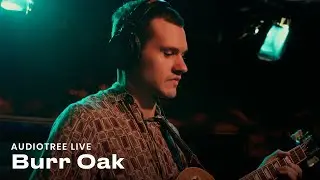 Burr Oak - Rosemary | Audiotree Live