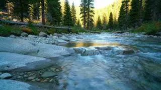 Deep Relaxation American River Sounds for Peaceful Sleep | No Talking