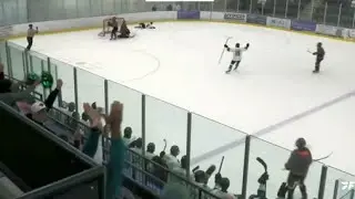 MacLeish steals and scores in OT for Panthers