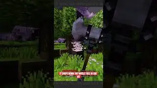 Hammer Time Addon ⚒️: 3&times;3 Mining Instantly! ⛏️💨 Bedrock 1.21