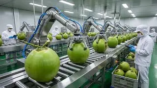How Premium Coconut Water Is Made Today: Inside the Modern Factory (Full Process)