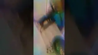 H&uuml;pscher hund