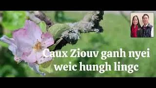 Maaih deix ziangh hoc mapv hmuangx nyei 3