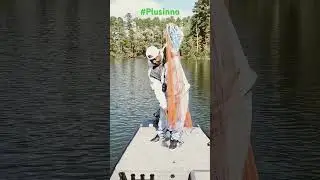 #Plusinno 4ft Cast Net