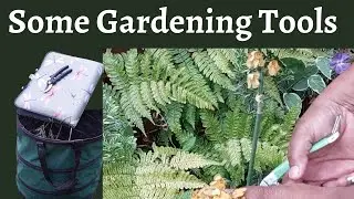 Essential Gardening Tools for Staking, Deadheading & Tidying Up | Beginner Garden Tips