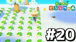 【あつ森】カブを買うぞ！！金持ちになるぞ！！【あつまれどうぶつの森】#20