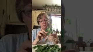 Lambs Quarter flour ￼