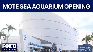 Inside Mote Marine's new sea campus