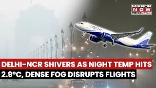 Delhi-NCR Shivers As Night Temperature Hits 2.9&deg;C Due To Cold Wave, Dense Fog Disrupts Flights
