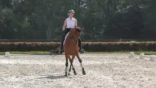 CCI3* Dressage eventing test B - Gyon - Proefgerichte training met Francis Verbeek