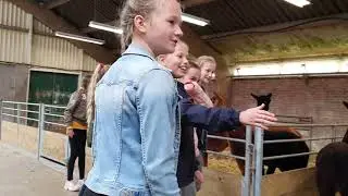 Tillemans (1)
