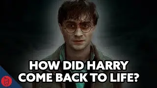 How Did Harry Come Back To Life? | Harry Potter Explained