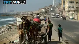 Gaza Artefacts: Palestinians preserve heritage despite blockade