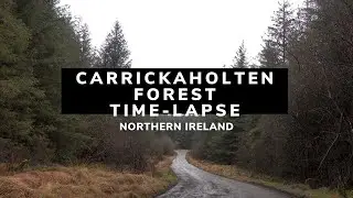 Carrickaholten Forest Time-lapse | Killeter | County Tyrone | Northern Ireland | Castlederg