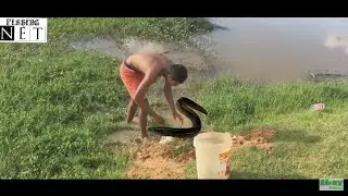 Catching Eels by Using Best Bait for Eels by A Smart in Cambodia