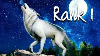 Global RANK 1 🐺  🐾 THE WOLF ONLINE SIMULATOR
