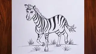 How to draw a cute zebra | realistic zebra drawing