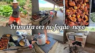 Testando o novo FOGÃO A LENHA - fiz COLHEITA e ALMOÇO  completo  pra toda família - vídeo 3