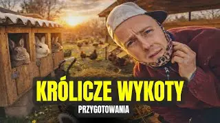 🐰 KR&Oacute;LICZE WYKOTY 🐰 + śmierdzące uszy ! MOJE MINI ZOO / odc. 812