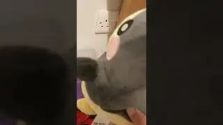 Morpeko Dies From Electricity