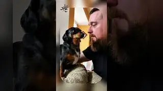 Kissing challenge 🐕🤣😘 #funny #laugher #funnyshorts #pets #funnyvideo #trending #dogs #shorts