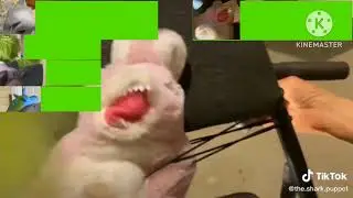 Shark puppet vs bio