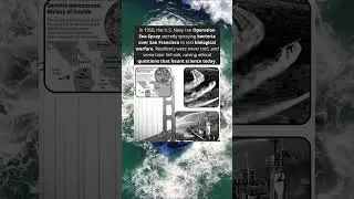 Operation Sea-Spray When the U.S. Sprayed a City 🌁🦠