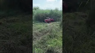 AMD R100 remote control lawnmower #lawnmower #lawnmowerrobot #grassroots #agriculture #brushcutter