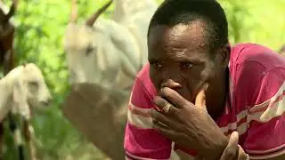 DJIBO, BOURZANGA ATTACK : IED KILLS 35 CIVILIANS IN NORTHERN BURKINA FASO