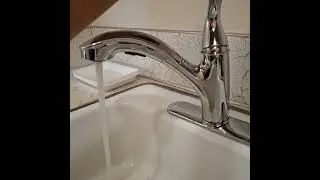 Evernest Bothell - Plumbing Repair - 1 - March 27, 2025